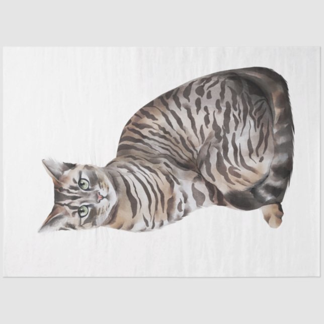 Wild Cats Series Design 6 Tissue Paper (Front)