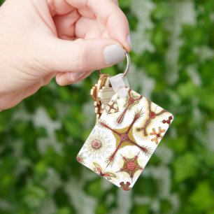 Wild Chamomile by Ernst Haeckel, Vintage Nature Key Ring