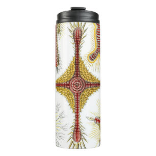 Wild Chamomile by Ernst Haeckel, Vintage Nature Thermal Tumbler