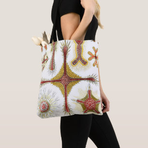 Wild Chamomile by Ernst Haeckel, Vintage Nature Tote Bag