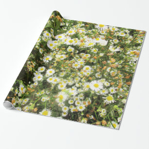 Wild Chamomile - Prairie Mile - giftwrap Wrapping Paper