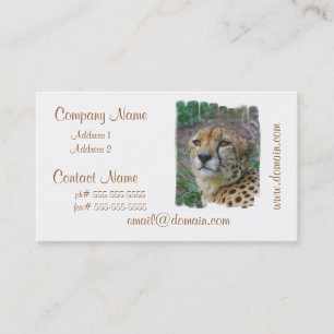 Wild Cheetah Business Cards