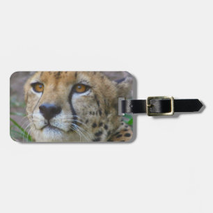 Wild Cheetah Luggage Tag