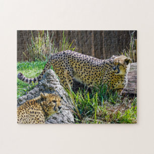 Wild Cheetah Toy Jigsaw Puzzle