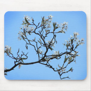 Wild Cherry Blossoms Floral Nature Mouse Pad