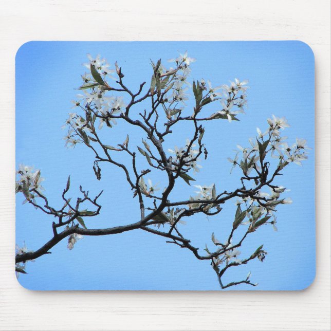 Wild Cherry Blossoms Floral Nature Mouse Pad (Front)