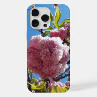 Wild Cherry pink Blossom Tree