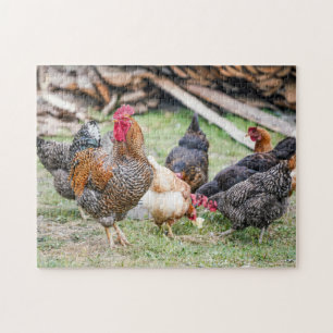 Wild Chicken Birds Rooster And Hens Family Farm Jigsaw Puzzle