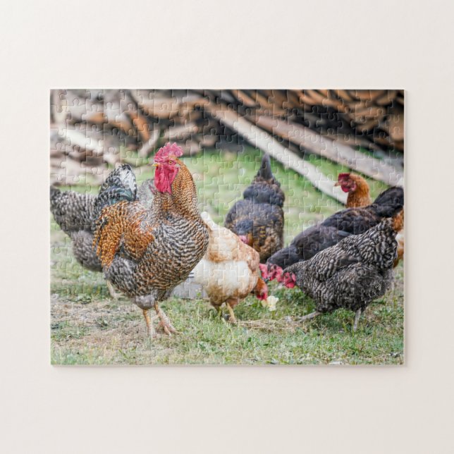 Wild Chicken Birds Rooster And Hens Family Farm Jigsaw Puzzle (Horizontal)