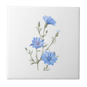 Wild Chicory Flower Botanical Watercolor Art Ceramic Tile