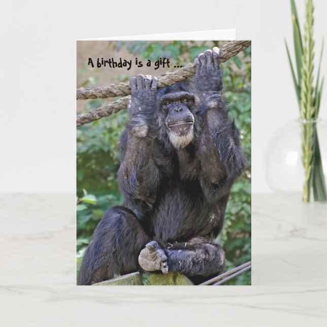 Wild Chimp Humour Card (Front)