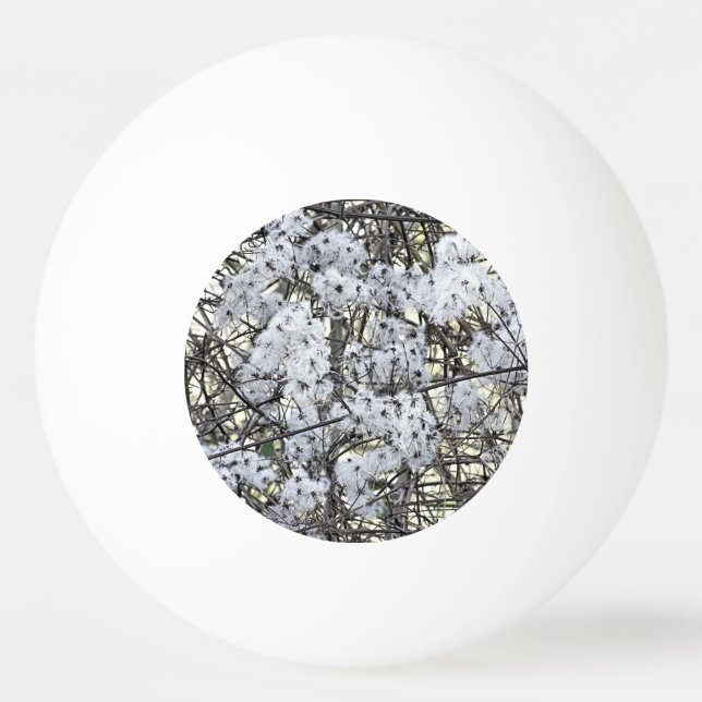 WILD CLEMATIS   PING PONG BALL (Front)