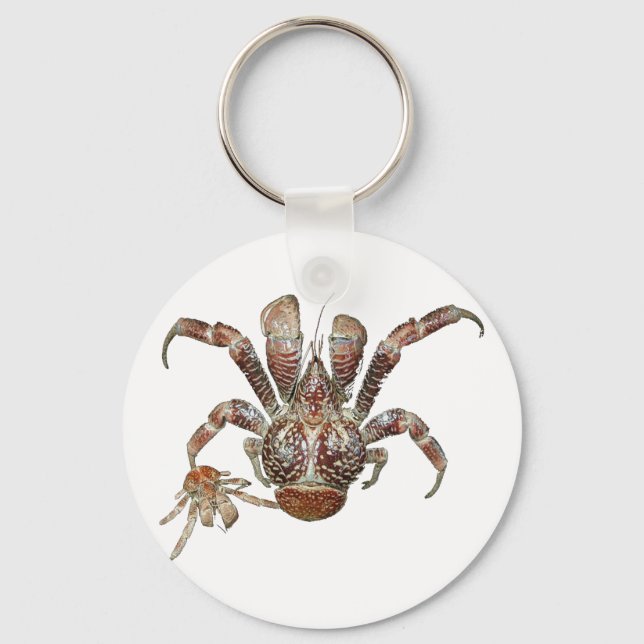 Wild Coconut Crab from Carribean Key Ring (Front)