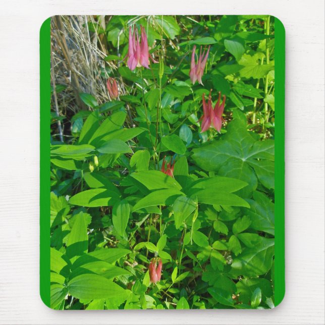 Wild Columbine Mousepad (Front)