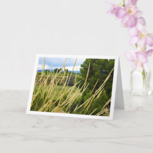 Wild Country Grass Landscape Card