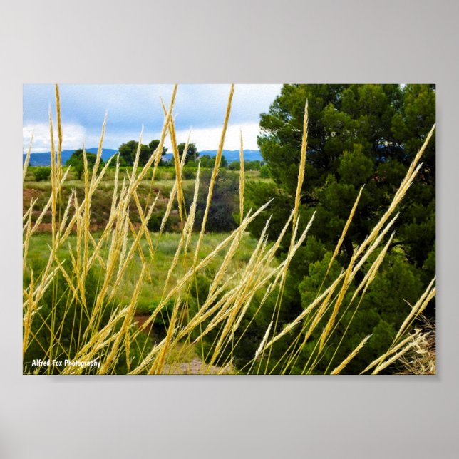 Wild Country Grass Poster (Front)