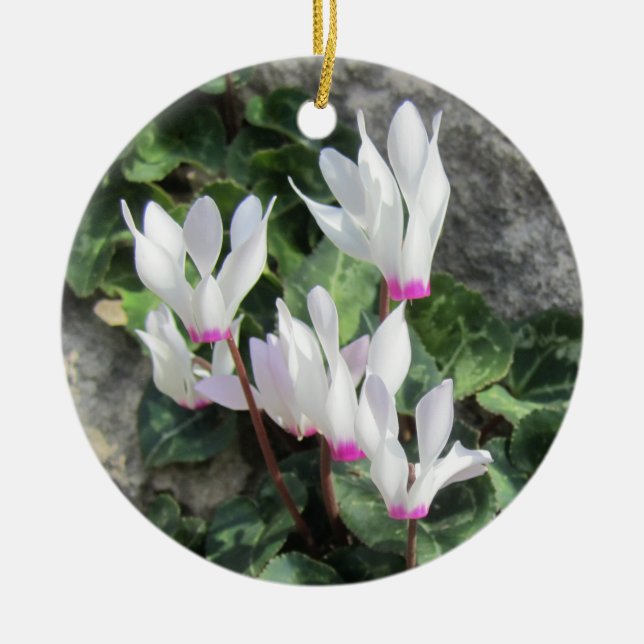 Wild Cyclamen Ceramic Ornament (Front)