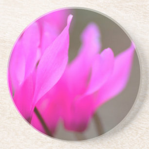 Wild Cyclamen Macro Coaster