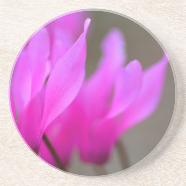 Wild Cyclamen Macro Coaster (Front)