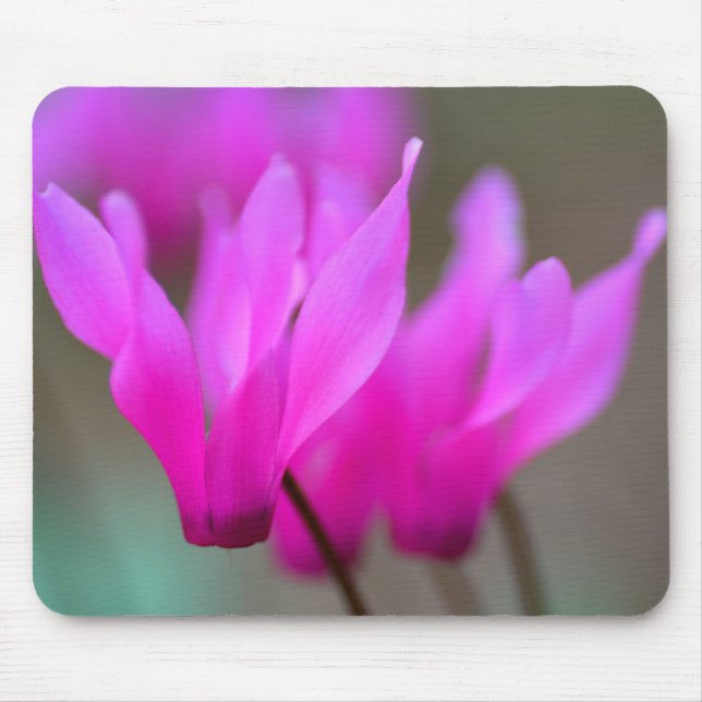 Wild Cyclamen Macro Mouse Pad (Front)