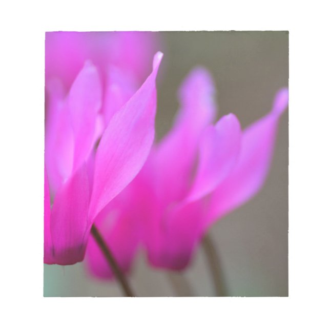 Wild Cyclamen Macro Notepad (Front)
