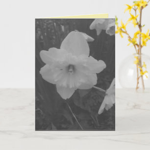 Wild Daffodil Card