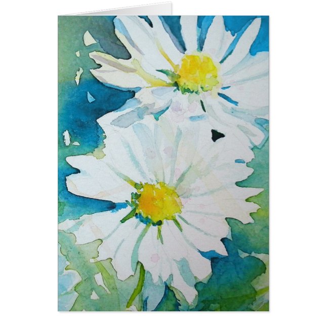Wild Daisies (Front)