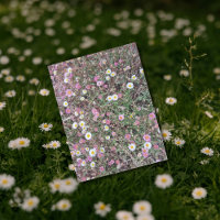  Wild Daisies and Pink Flowers in Natural Field