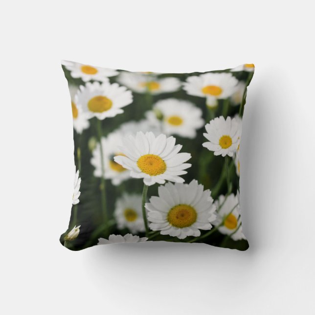 Wild daisy flowers close up cushion (Front)