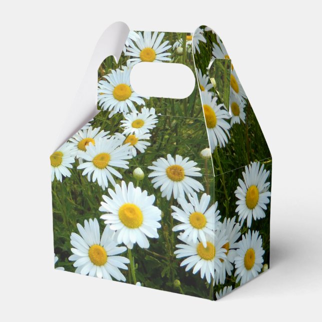 Wild Daisy Party Favour Box (Front Side)
