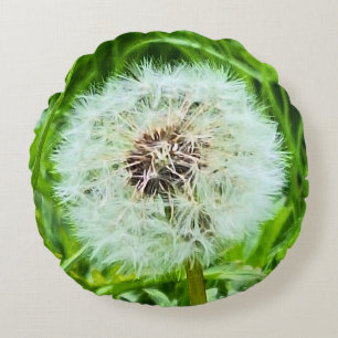 Wild Dandelion Romania Botanical Macro Photograpy Round Cushion