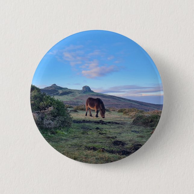 Wild Dartmoor Pony Horse 6 Cm Round Badge (Front)