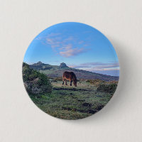 Wild Dartmoor Pony Horse