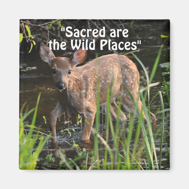 Wild Deer Fawn Wilderness Gift Magnets (Front)