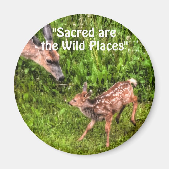 Wild Deer Fawn Wildlife for Outdoor-lovers Magnet (Front)