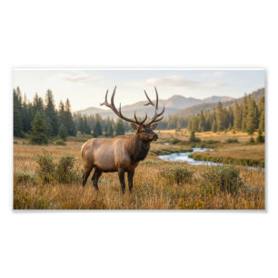 Wild Deer In Scenic Mountain Landscape Photo Enlar Print