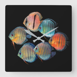 Wild Discus fish Square Wall Clock