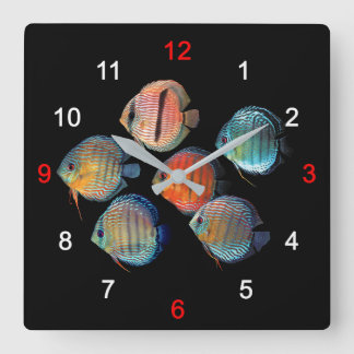 Wild Discus fish Square Wall Clock