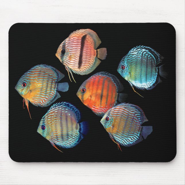 Wild Discus Mouse Pad (Front)