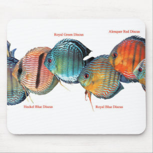 Wild Discusfishのマウスパッド Mouse Pad