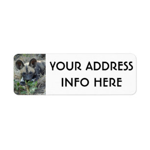 WILD DOG PUPPY 4 RETURN ADDRESS LABEL