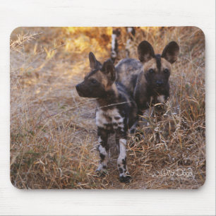 Wild Dogs Mousepad