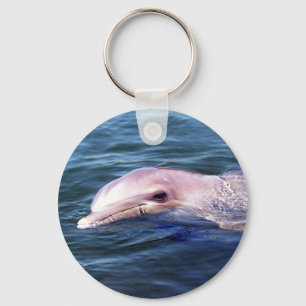 Wild Dophin Key Ring
