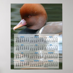 Wild duck 2013 calendar poster