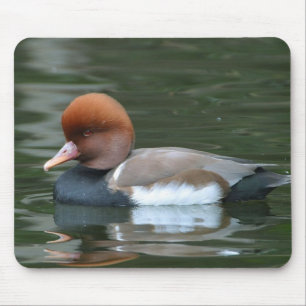 Wild Duck mousepad