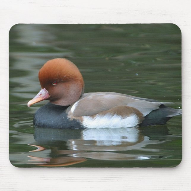 Wild Duck mousepad (Front)