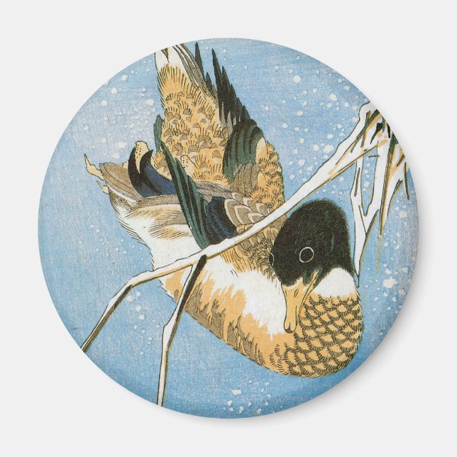 Wild Duck Swimming Snow Laden Reeds by Hiroshige Magnet (Front)