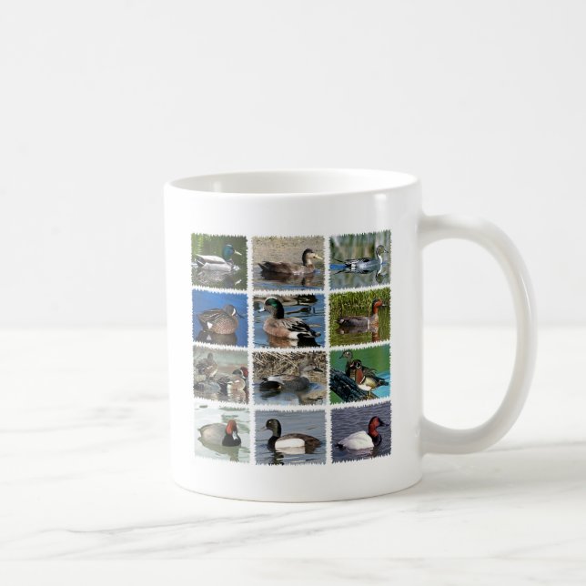 Wild Ducks of North America Coffee Mug (Right)