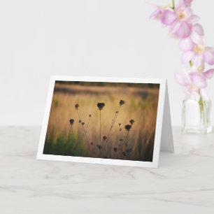 Wild Dying Flowers in Field Landscape Card