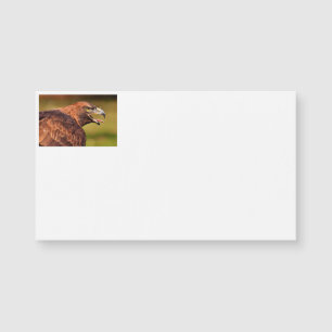 Wild Eagle Business Cards